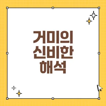 거미의 의미와 꿈 해몽: 혐오와 복의 상징