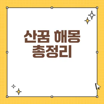 산과 등산 꿈해몽: 좋은 길몽과 그 의미를 알아보세요