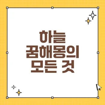 하늘 꿈해몽: 하늘을 나는 꿈과 그 의미를 탐구하다