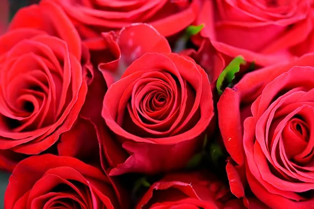 보석 해몽의 의미와 가치: 꿈에서의 보석의 상징과 해석