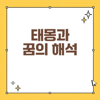 태몽과 횡재 꿈: 꿈속의 징조와 그 의미 분석하기