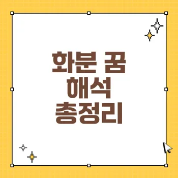 화분 꿈 해몽의 모든 것: 각 경우별 의미와 상징 정리