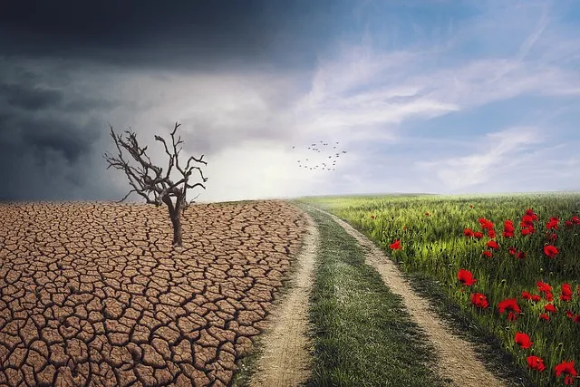 얼음 꿈 해몽: 감정과 상황을 읽는 방법 (2024년 전망)