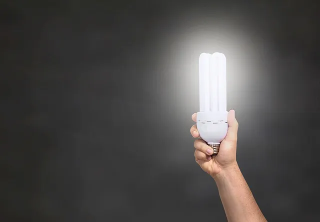 태몽이 알려주는 임신과 사업 번창의 징조 80자
