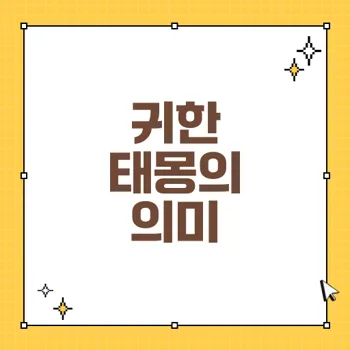 태몽이 알려주는 임신과 사업 번창의 징조 80자