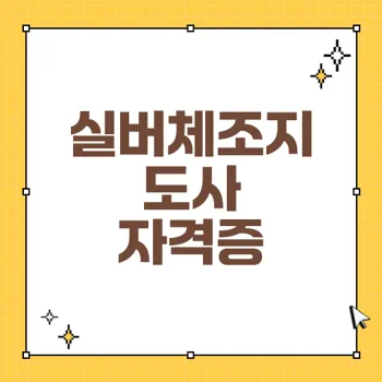 자격증: 실버체조지도사 강사 자격증의 중요성과 과정 안내