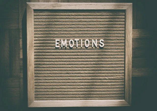 ISFP 여자의 감성 세계 탐구