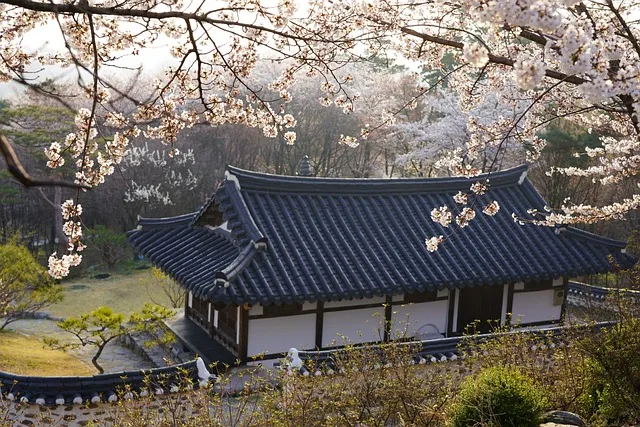 미스터트롯3 방송 일정과 참가자 정보
