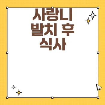 사랑니 발치 후 효과적인 식사 방법과 주의사항