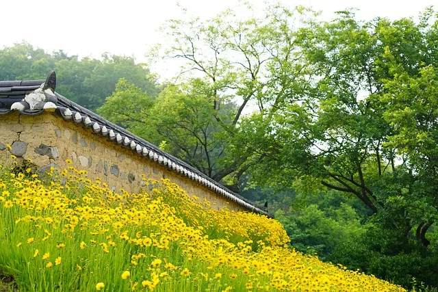 세배하는 방법과 손 위치 완벽 가이드