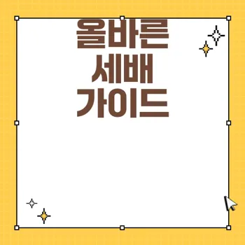 세배하는 방법과 손 위치 완벽 가이드