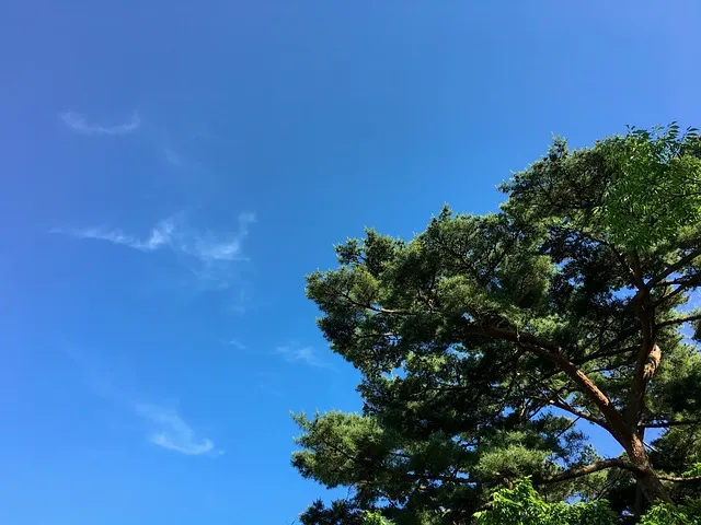 아이폰16 아이폰16프로 악세서리 구매 가이드